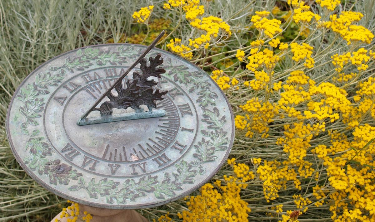 Photo of Outdoor clocks will enhance the look and style of your garden