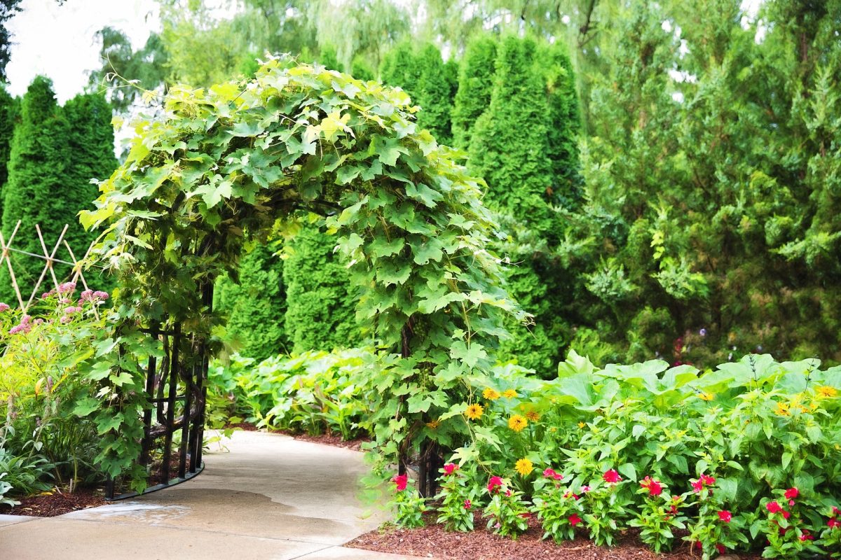 Photo of Garden buildings aren’t limited to sheds