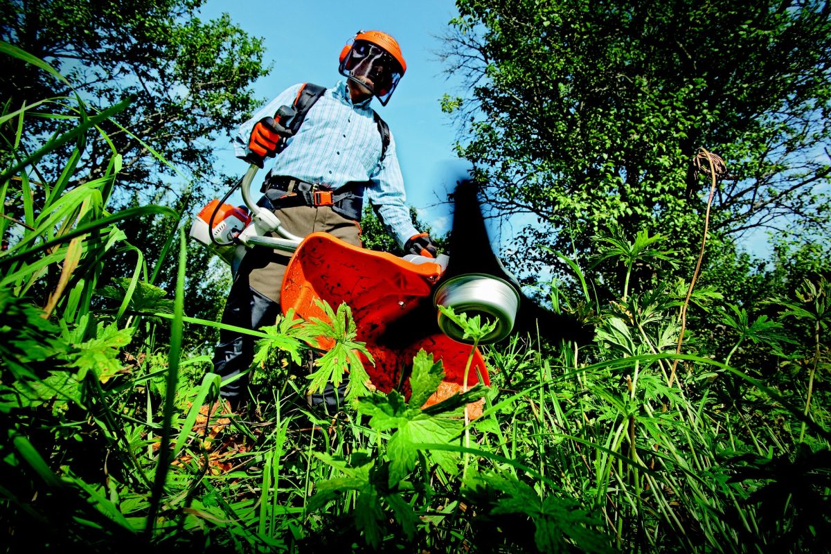 Photo of Protecting your garden assets