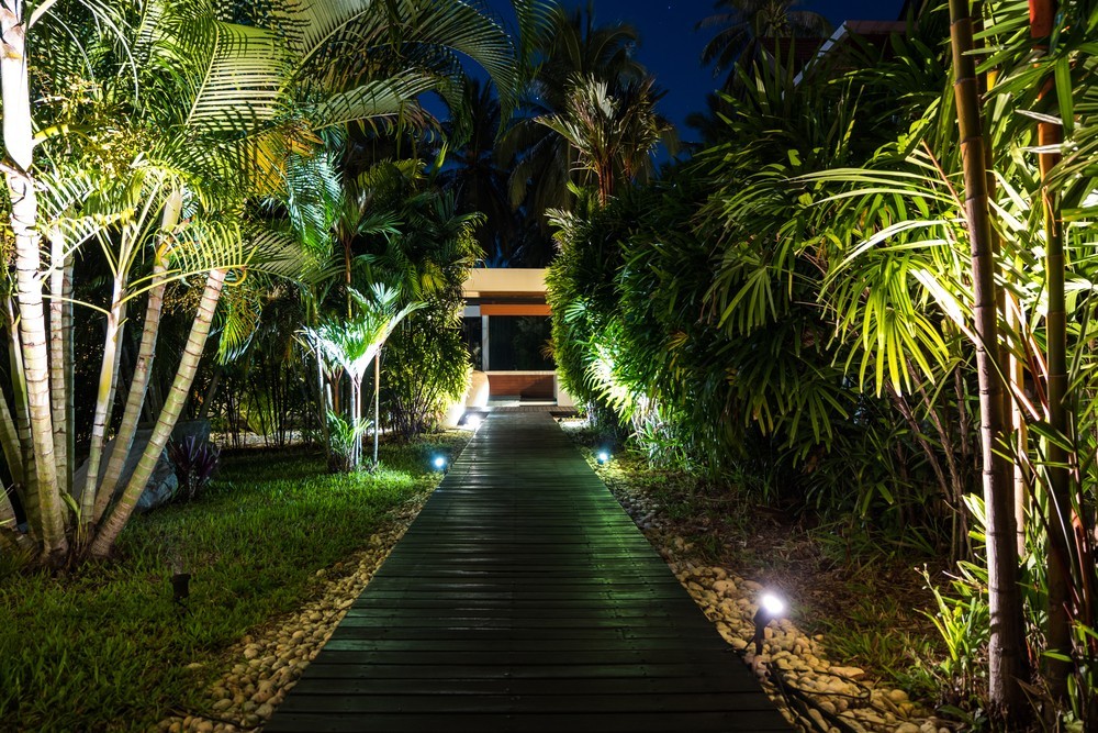 Photo of The Best Solar Path Lights