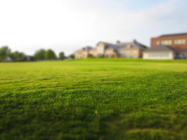 Leveling the area manually for the lawn