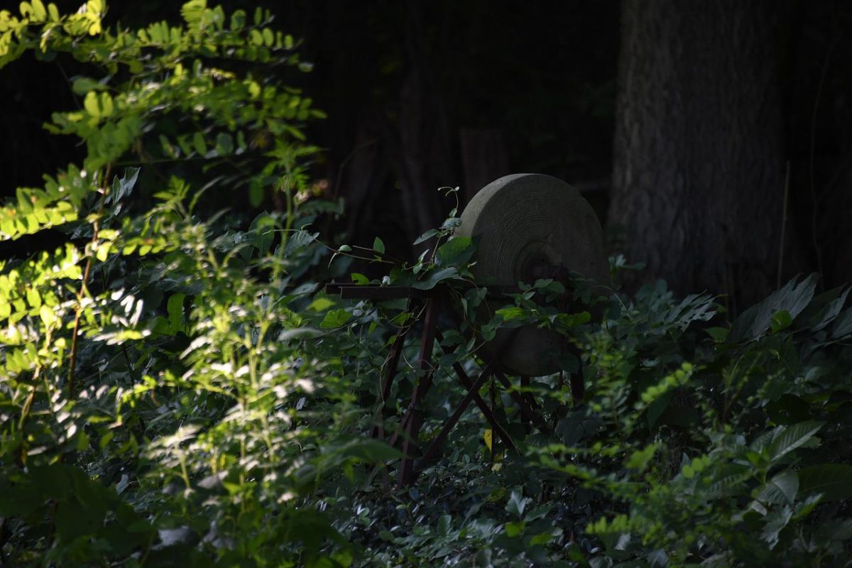 How to Sharpen Garden Tools