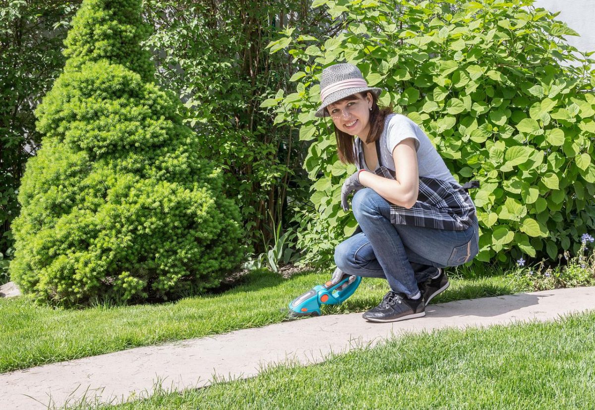 What Tools Do I Need To Start A Gardening Business