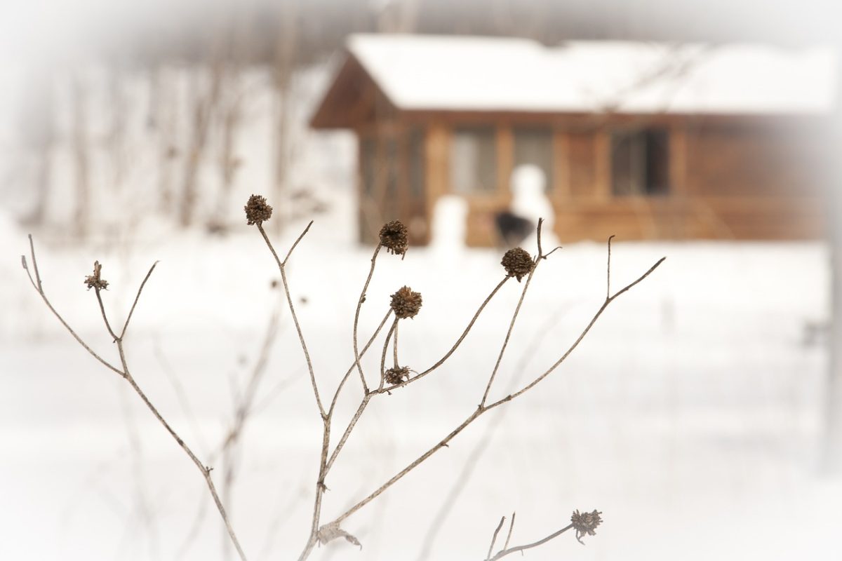 How to Insulate Summer House in the UK