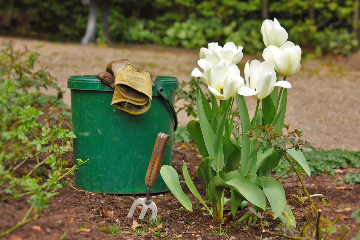 Photo of How to Remove Rust from Garden Tools