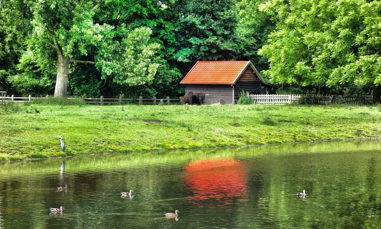 A Do-it-Yourself Barn