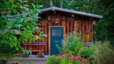 Photo of What You Need to Know about Building a Shed
