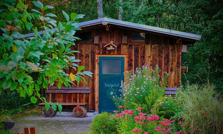 What You Need to Know about Building a Shed