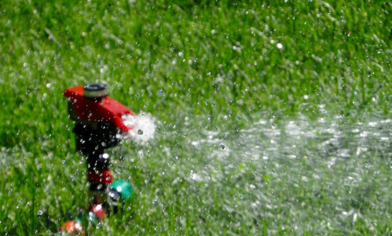 lawn watering