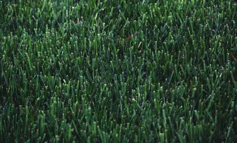 close photo of artificial grass