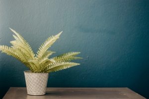 flower pot on the table