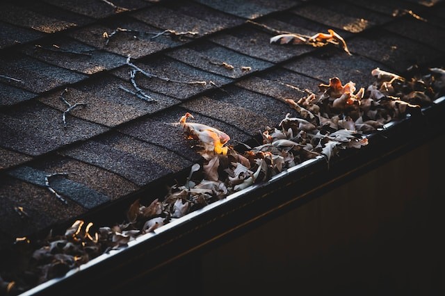 dirty gutter with leaves