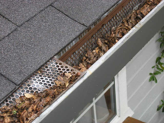 gutter guard with leaves