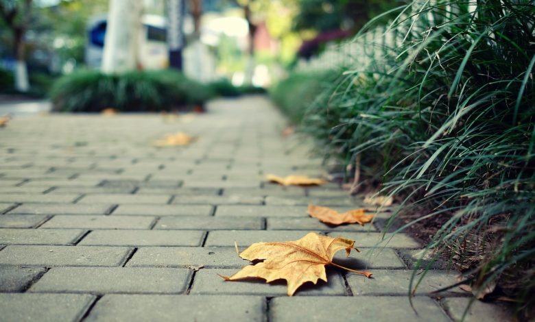 leaves on paving slabs