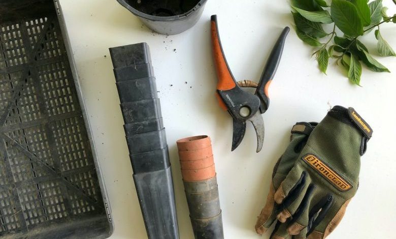 Gardening Tools - black pruning shears beside green gloves