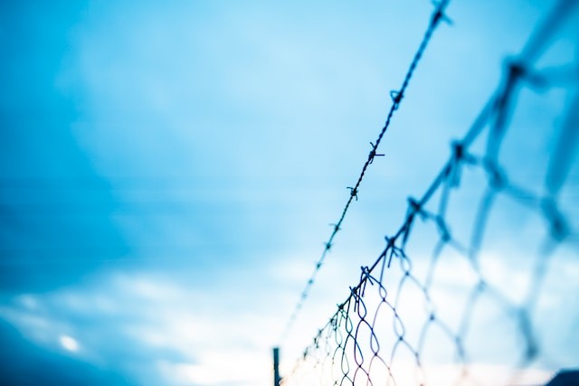 Barbed wire