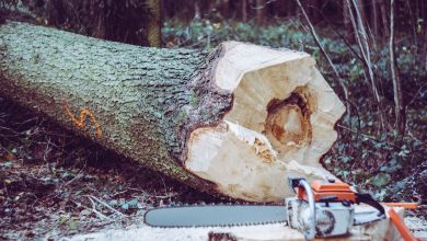 Photo of Electric Vs Manual Chainsaws: a Comprehensive Guide