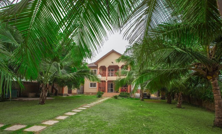 house between palms