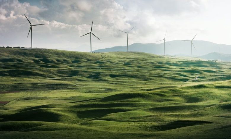 Home Energy Efficiency - wind turbine surrounded by grass