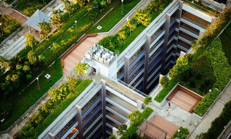 Rooftop Garden - building scale model