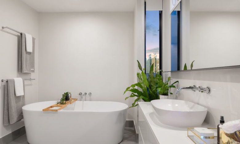 Bathroom Design - white ceramic bathtub near green potted plant