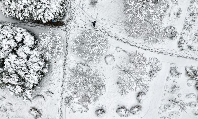 Garden In Winter - an aerial view of snow covered trees and roads