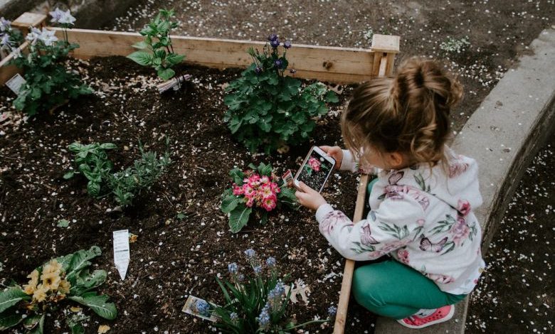 Garden Watering - girl sitting using smartphone