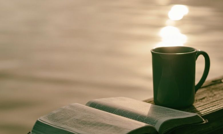 Cozy Reading Nook - green ceramic mug beside book