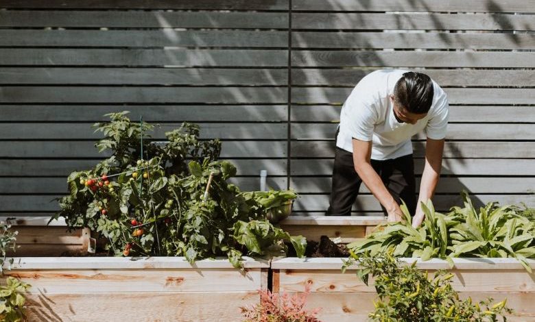 Diy Garden - man in white t-shirt and white pants sitting on brown wooden bench