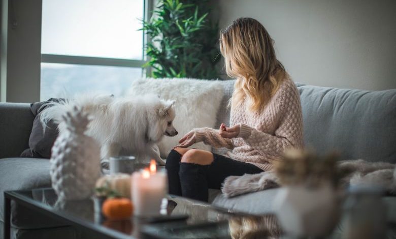 Home Air Quality - woman sitting on sofa while holding food for dog
