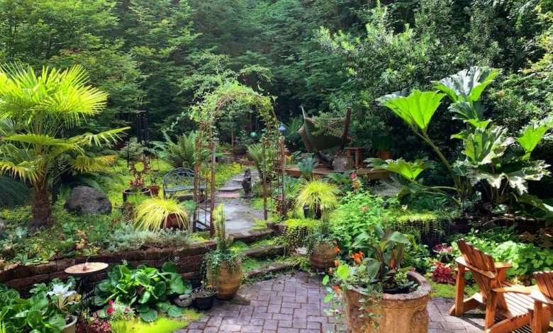 Backyard Garden - green plants on brown clay pots