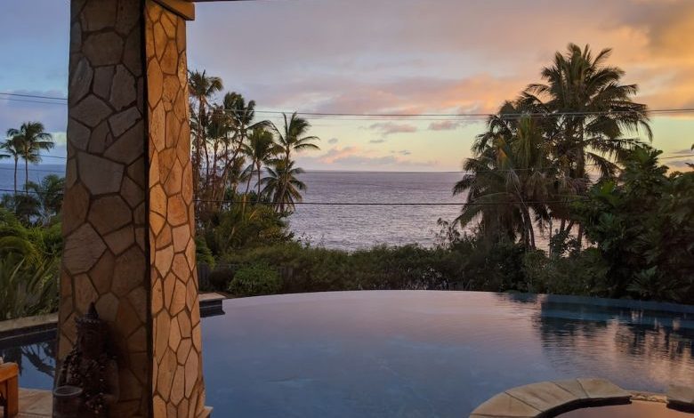 Tropical Homes - green palm trees near body of water during daytime