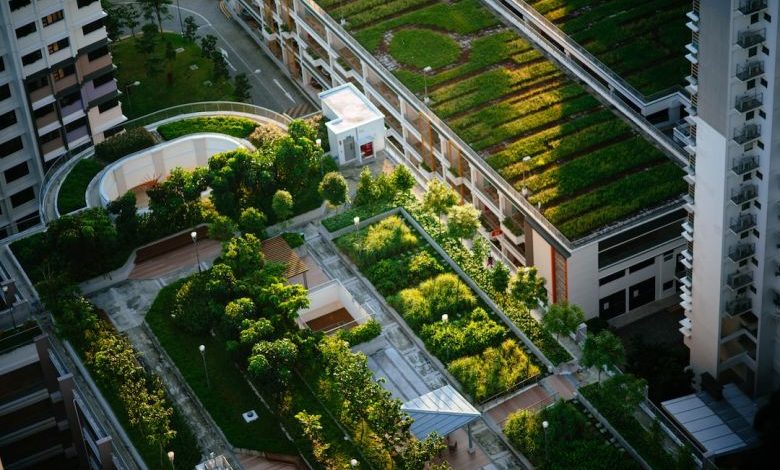 Roof Garden - top view of building with trees