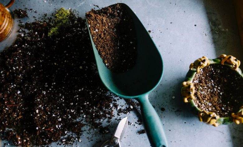 Soil In Garden - green metal garden shovel filled with brown soil