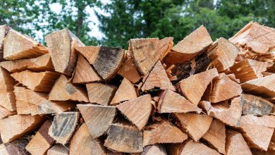 Photo of Where to Buy Firewood in the UK