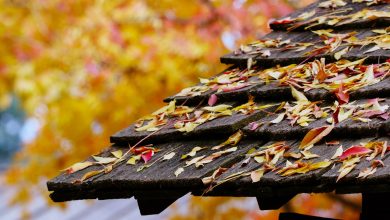 Photo of The Benefits of Cleaning a Roof: Roof Cleaning Rossendale