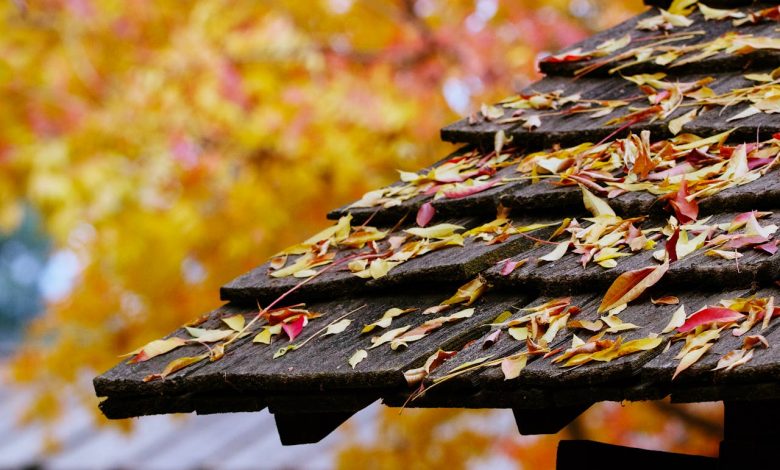 autumn-leaves-on-rustic-roof-in-fresno